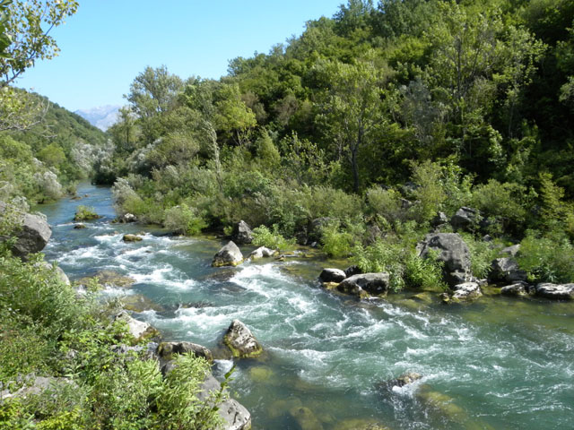 Rafting Cetina