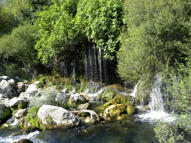 Rafting Cetina