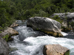 Rafting Cetina
